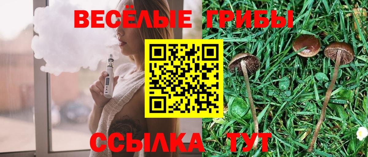 Россошь  Псилоцибиновые грибы Psilocybe  Вход с VPN 