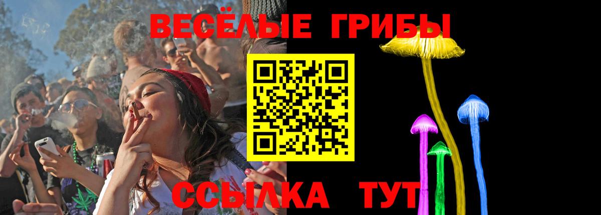 Галлюциногенные грибы Psilocybine cubensis Россошь